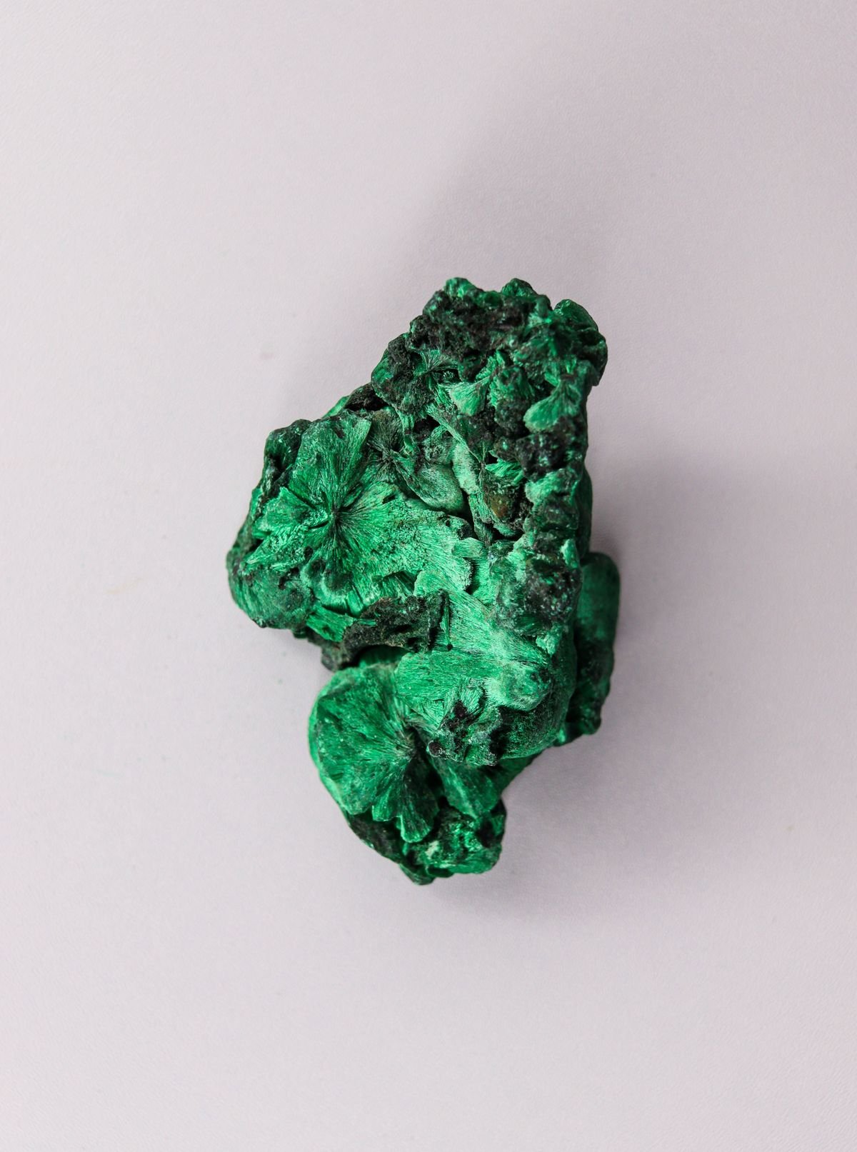 A banded green malachite specimen with concentric rings