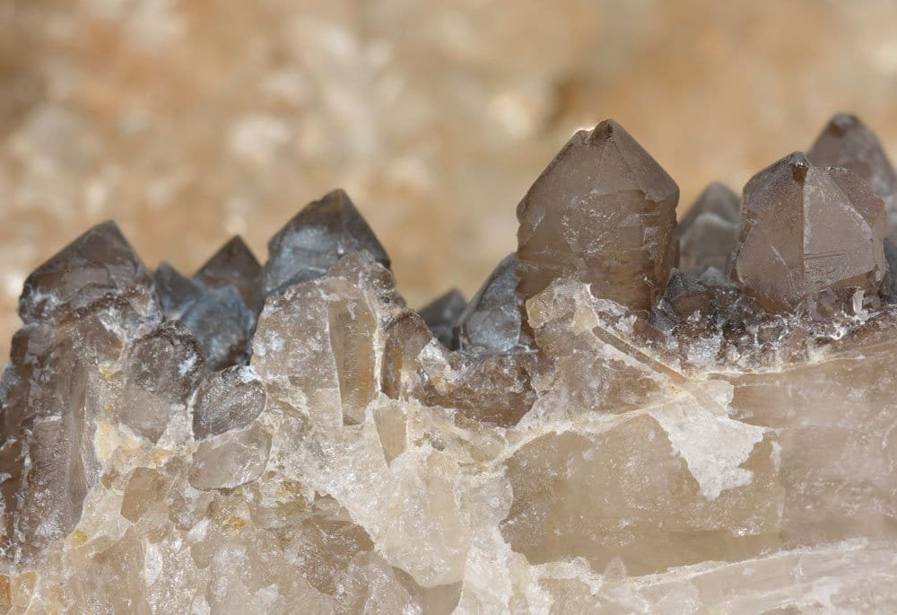 A polished smoky quartz crystal in translucent smoky brown