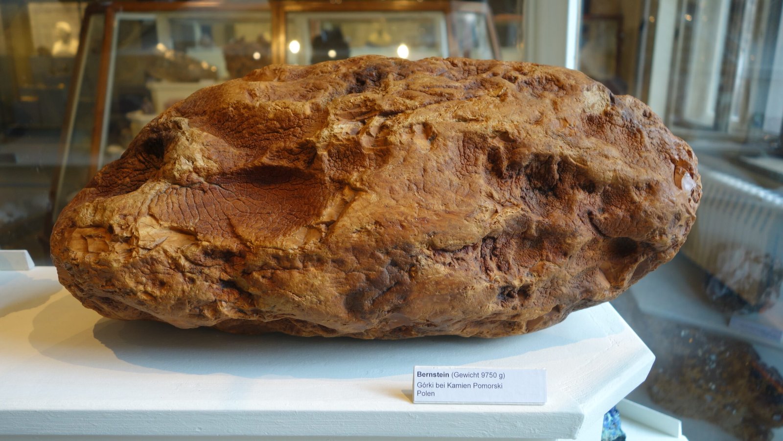 Raw Baltic amber, fossilised tree resin, golden translucent specimen