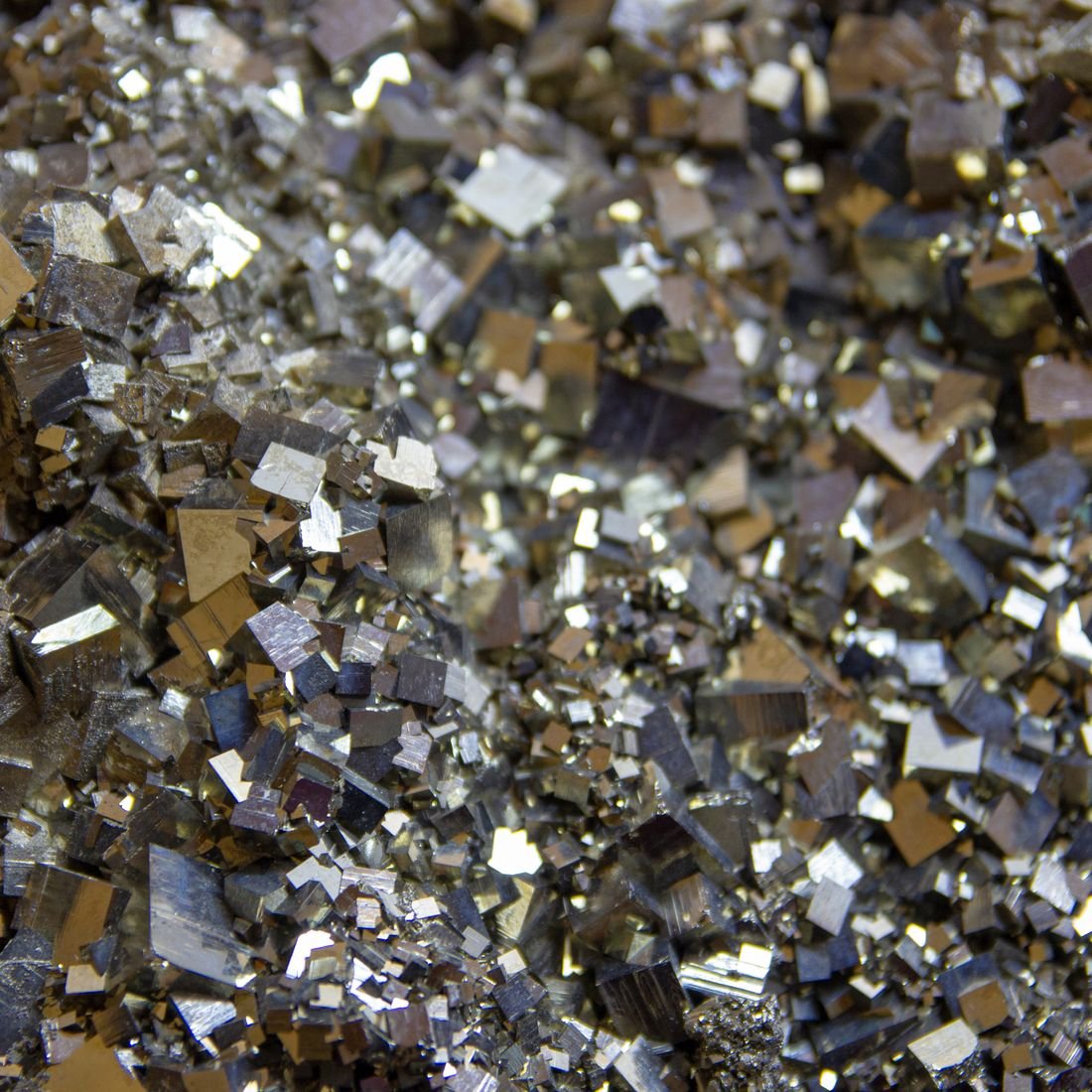 Shiny metallic gold pyrite crystals