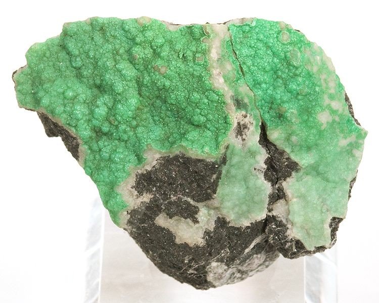 A bright apple-green botryoidal antigorite specimen, a member of the serpentine subgroup, on matrix